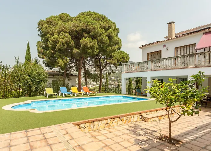 Bogues Lloret de Mar